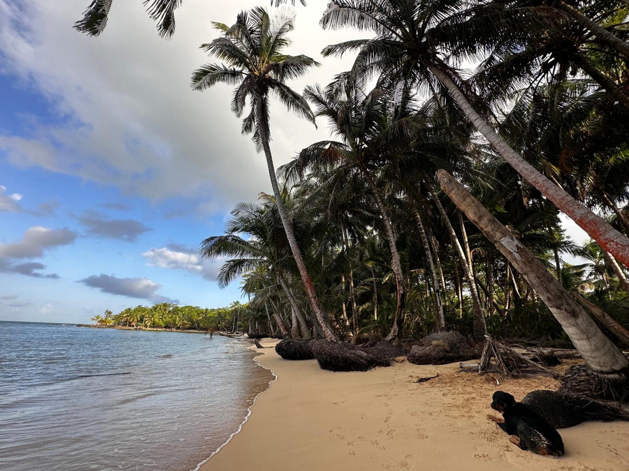 Ensuenos Natural Reserve Little Corn Island Nicaragua Exterior photo